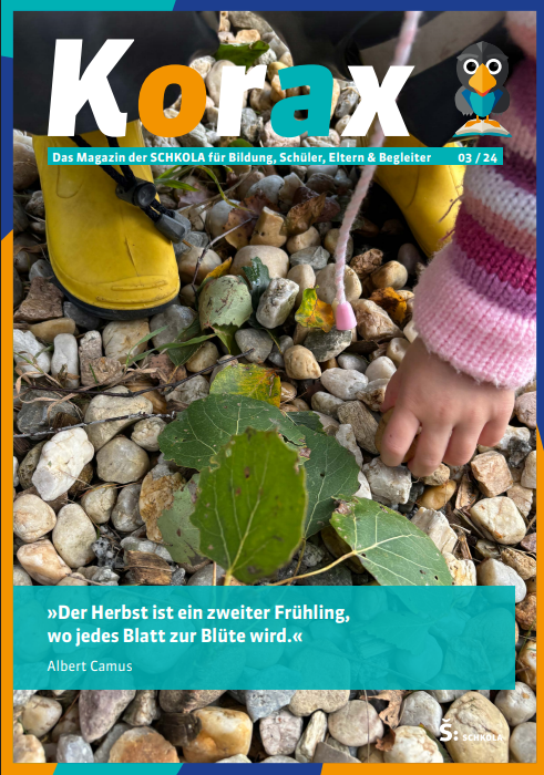 Hand greift nach einer Pflanze zwischen Steinen, gelbe Gummistiefel sichtbar.